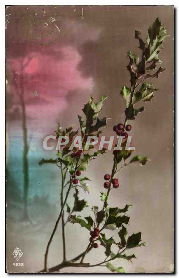 CPA Fantaisie Fleurs Houx