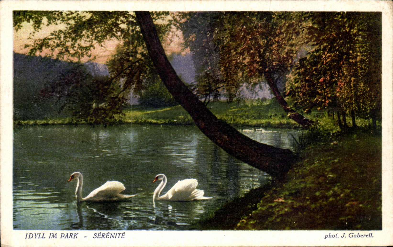 CPA Fantaisie Paysage Cygnes Swan