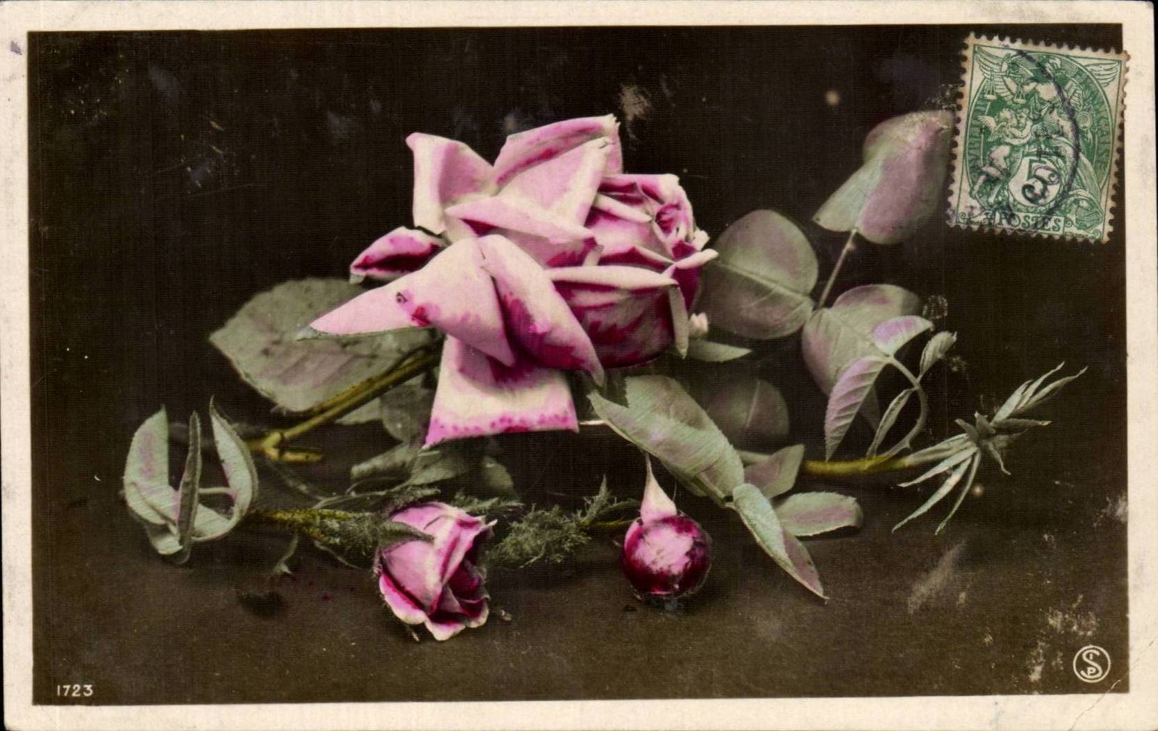 CPA Fantaisie Fleur Rose