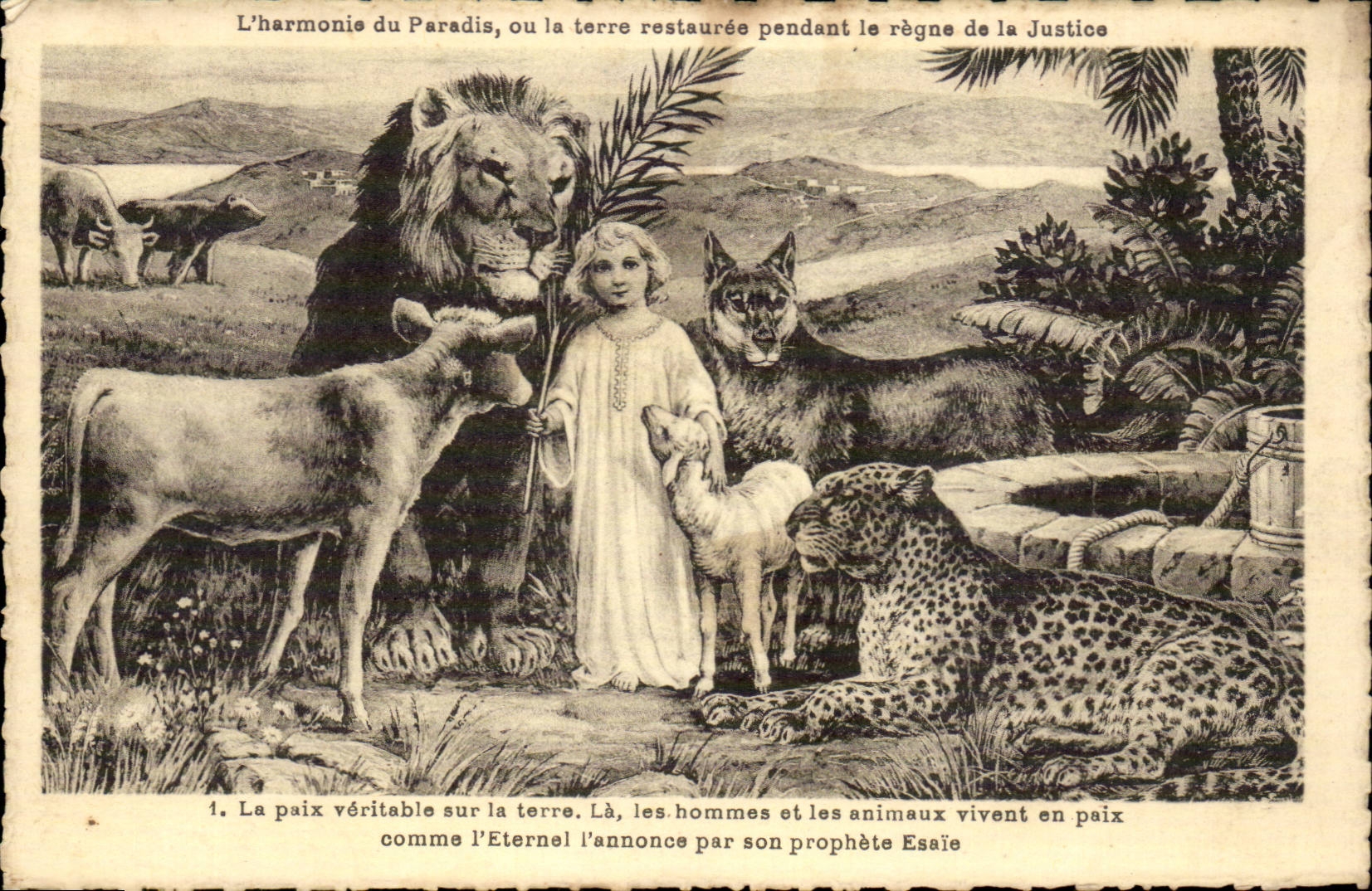 CPA Fantaisie La paix veritable sur la terre Animaux Jesus vache lion jaguar mouton loup wolf