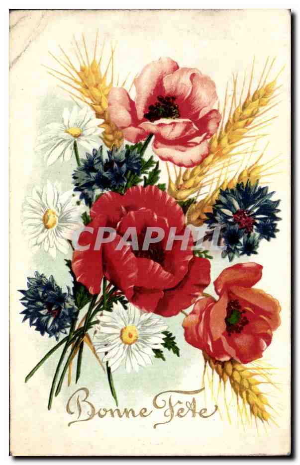 CPA Fantaisie Fleurs