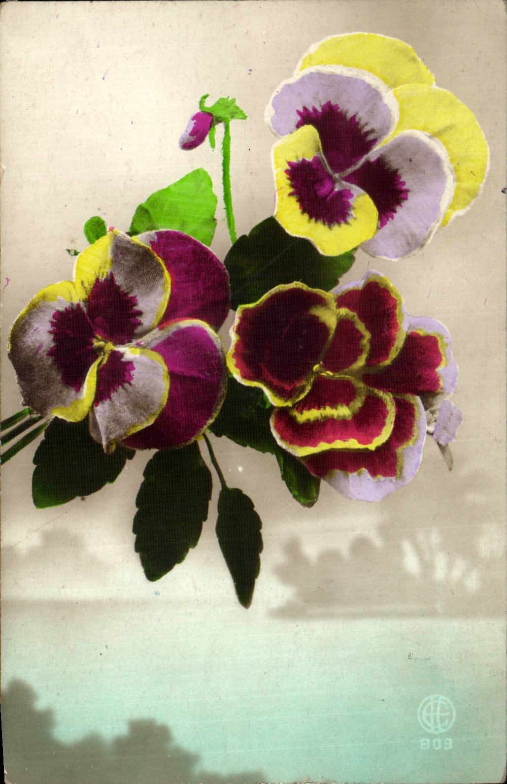 CPA Fantaisie Fleurs