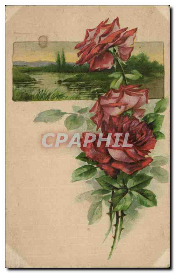 CPA Fantaisie Fleurs Roses