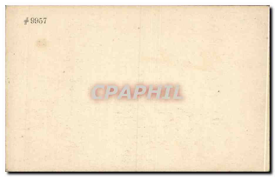 CPA Fantaisie Fleurs Roses — Verso