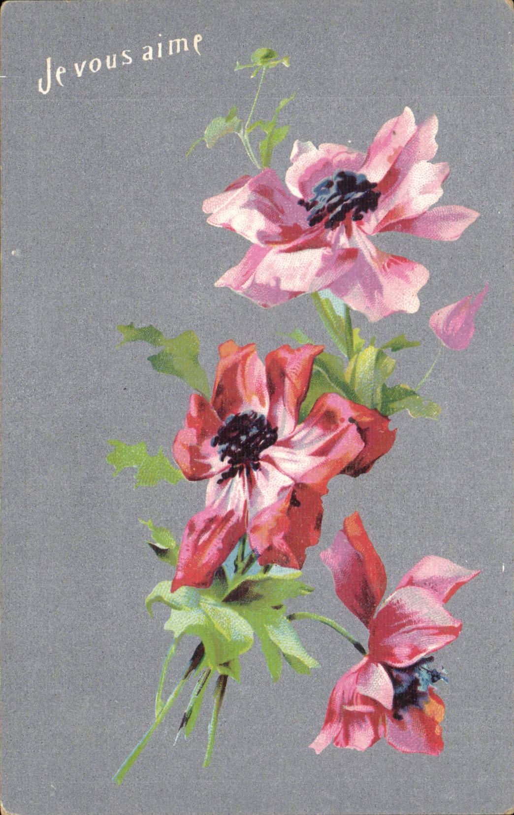 CPA Fantaisie Fleurs 