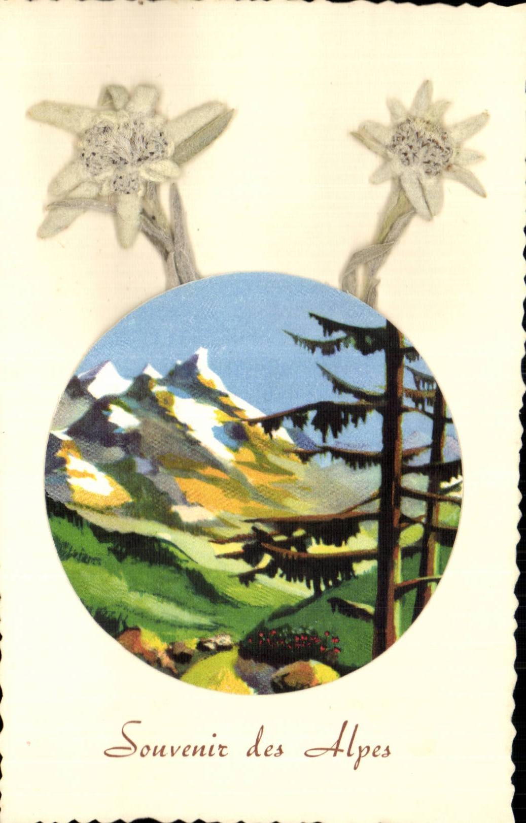 CPA Fantaisie Fleurs Souvenir des Alpes (en relief)
