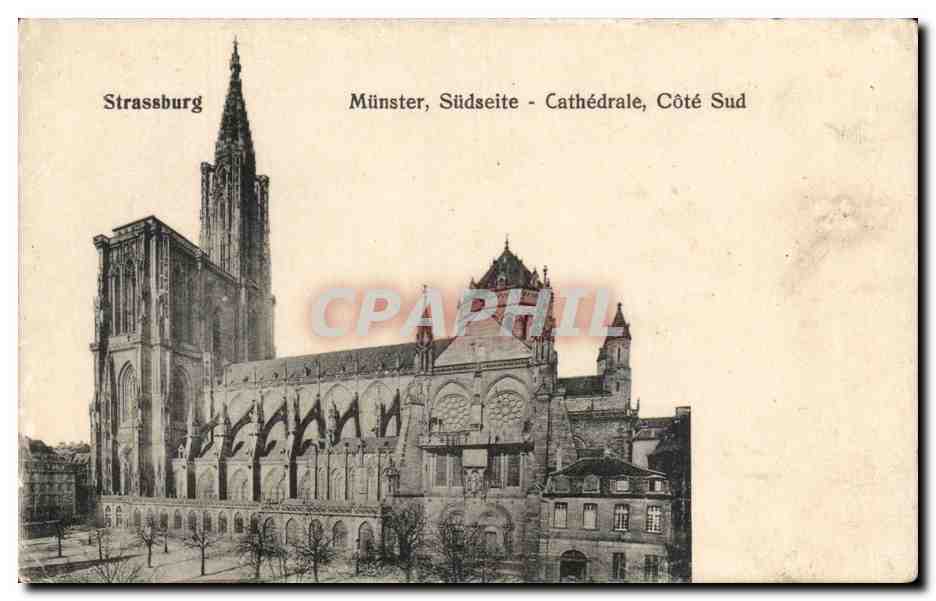 CPA Strassburg Munster Sudseite Cathedrale Cote Sud