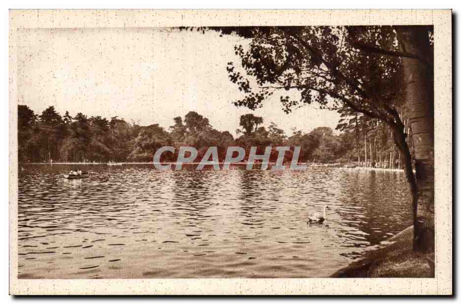 Paris CPA Au bois de Boulogne Un coin du lac interieur 