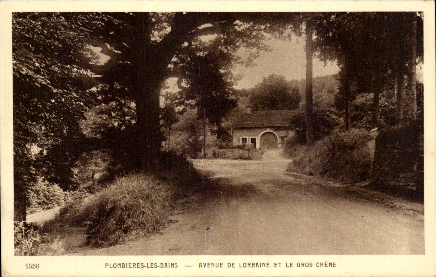 Plombieres les Bains CPA Avenue de lorraine et le gros chene