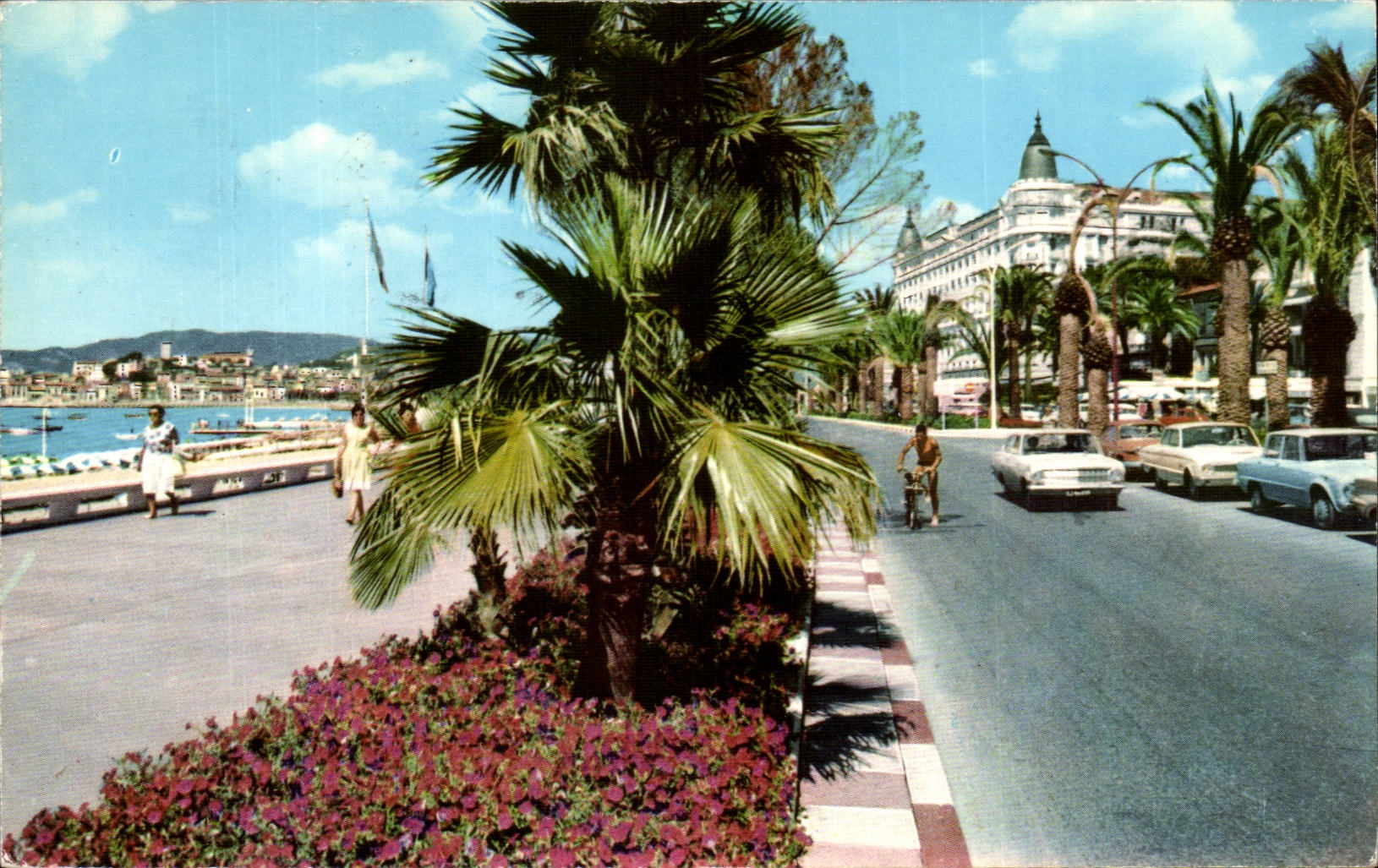 CPSM Cannes la croistte et ses jardins fleuris au fond le Carlton