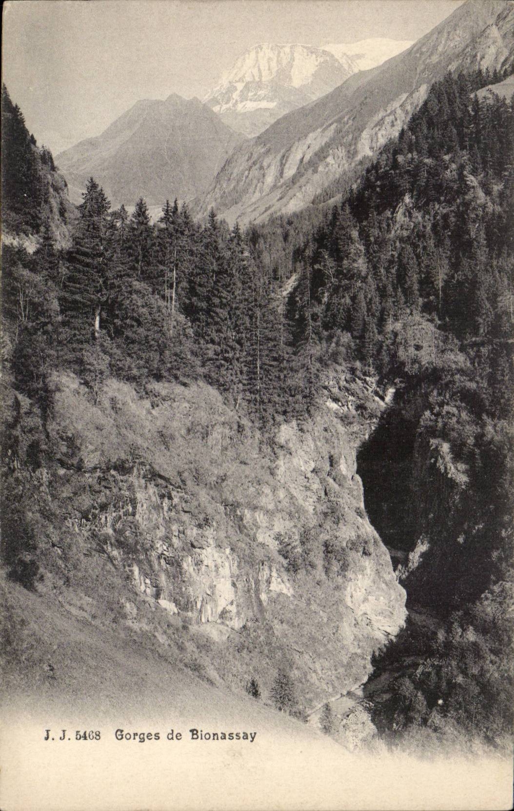 Gorges de Bionassay — vue panoramique avec le Mont-Blanc en arrière-plan — J.J. 5468
