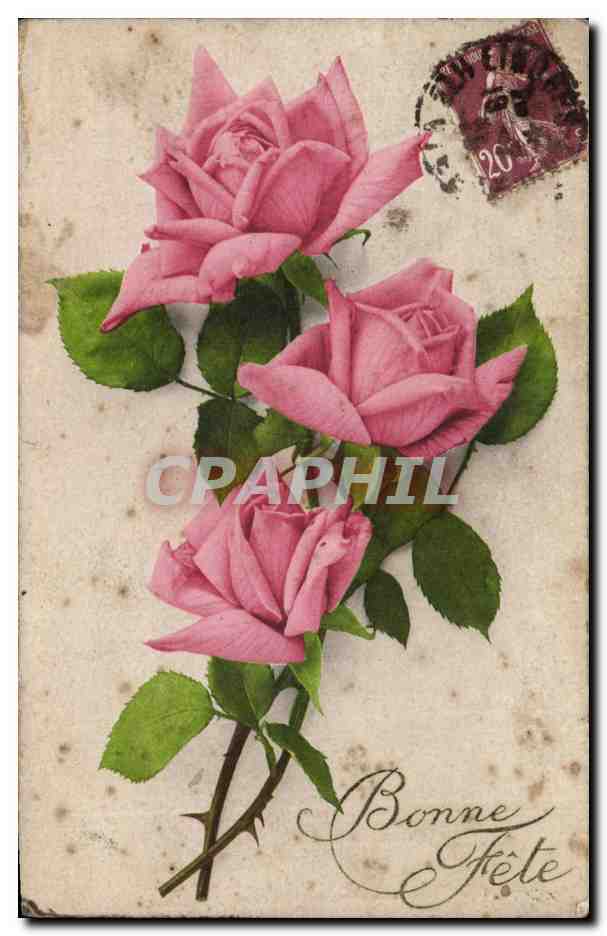 CPA Fantaisie Fleurs Roses Bonne fete
