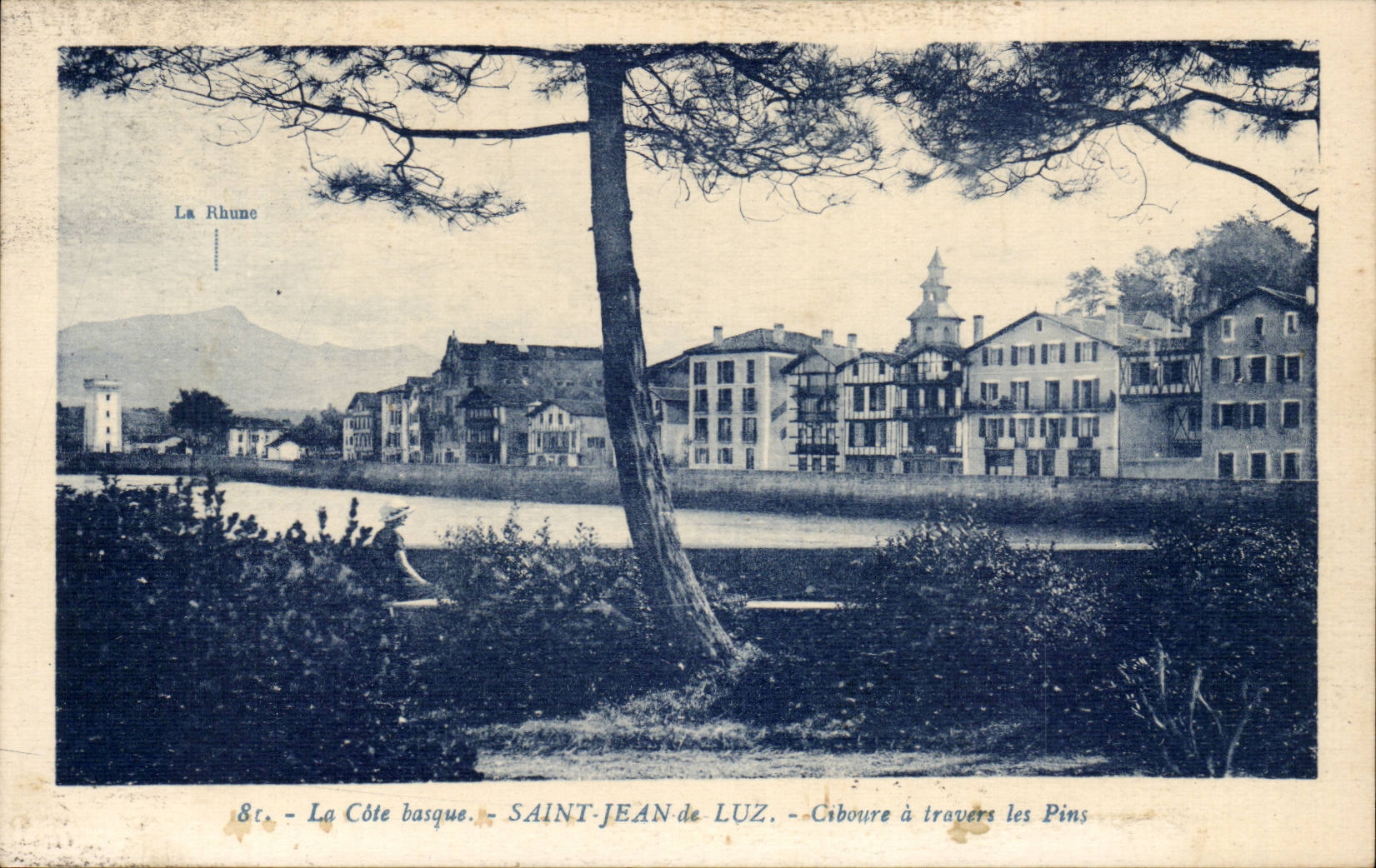 CPA Saint Jean de Luz Ciboure a travers les pins