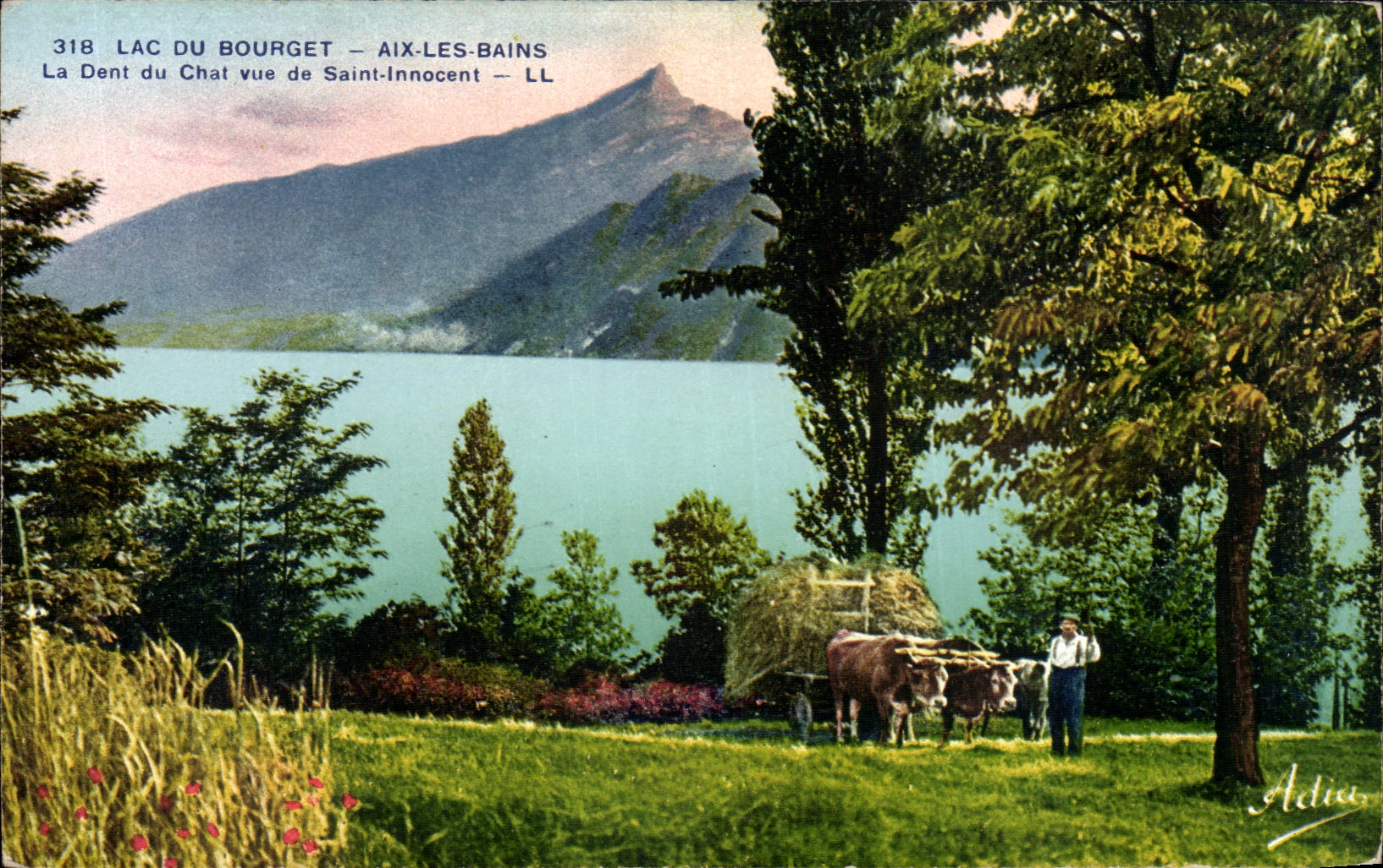 CPA Lac du Bourget Aix les Bains La dent du chat vue de Saint innocent Attelage
