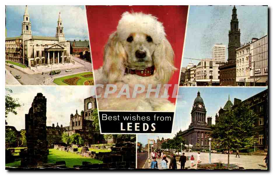 CPSM Best wishes from Leeds Chien Dog