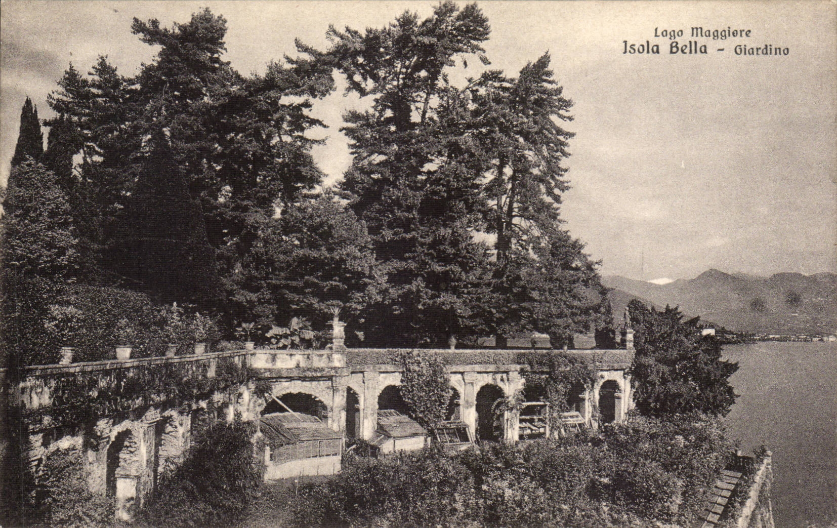 CPA Italie Italie Lago Maggiore Giardino dell' Isola Bella
