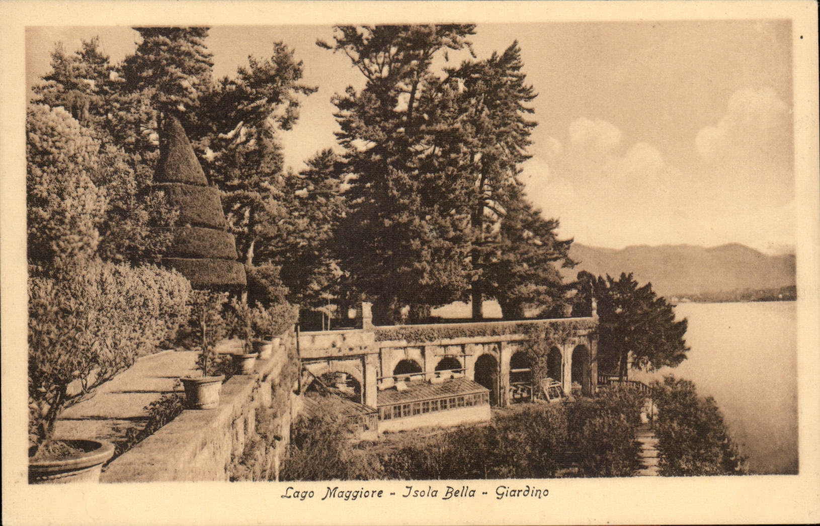 CPA Italie Italie Lago Maggiore Giardino dell' Isola Bella