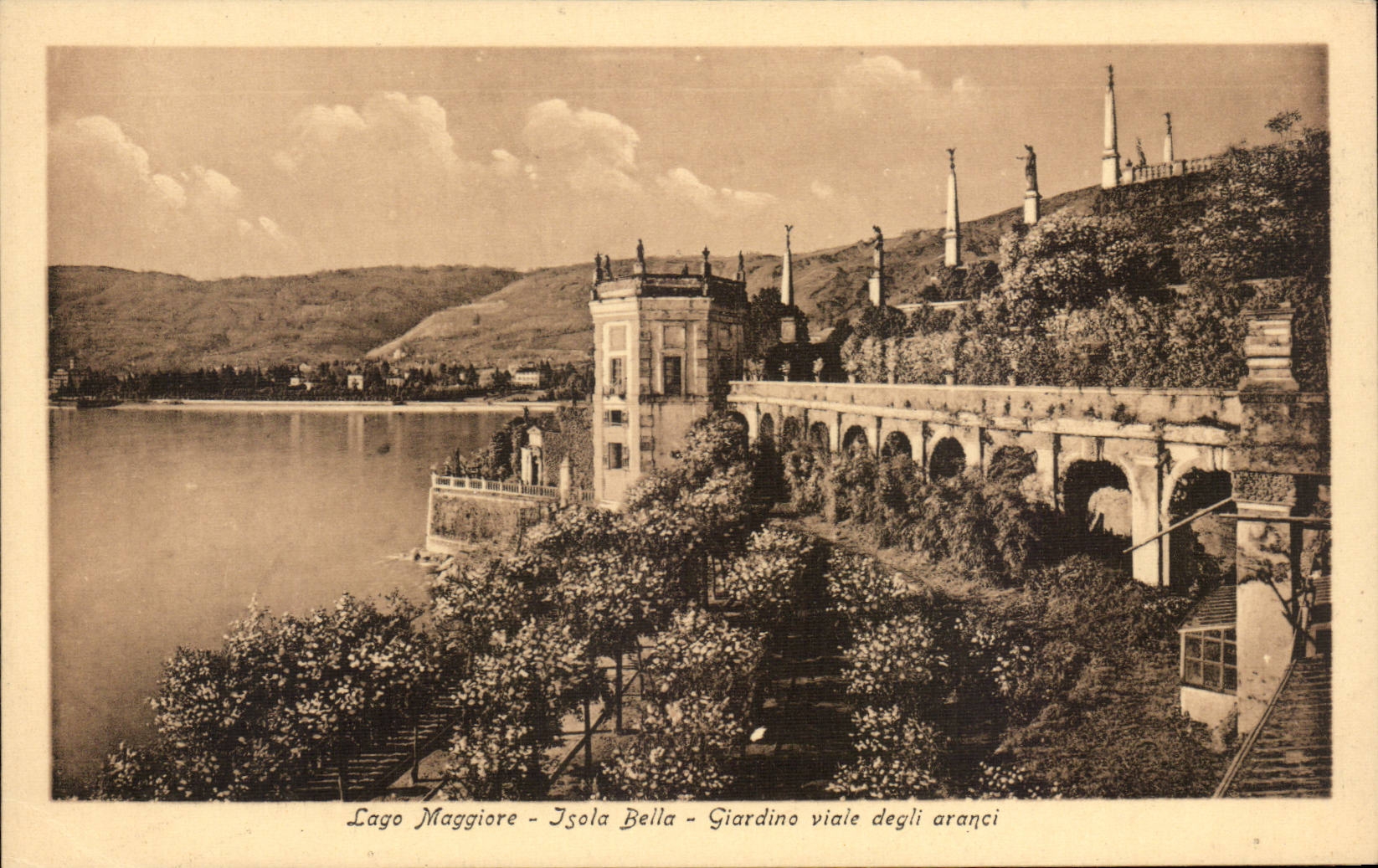 CPA Italie Italie Lago Maggiore Giardino viale degli Aranci