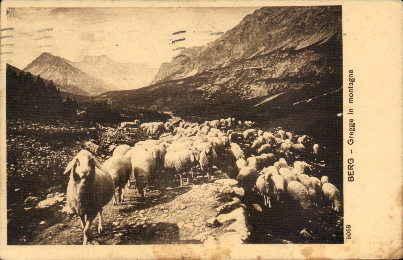 CPA Italie Italie Berg Gregge in montagna