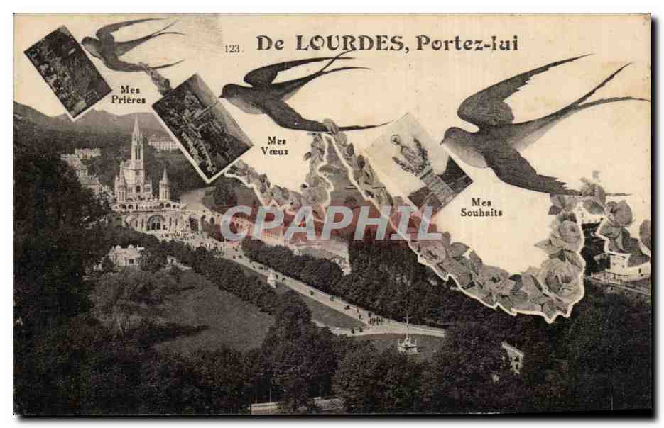 CPA De Lourdes Portez lui Hirondelles
