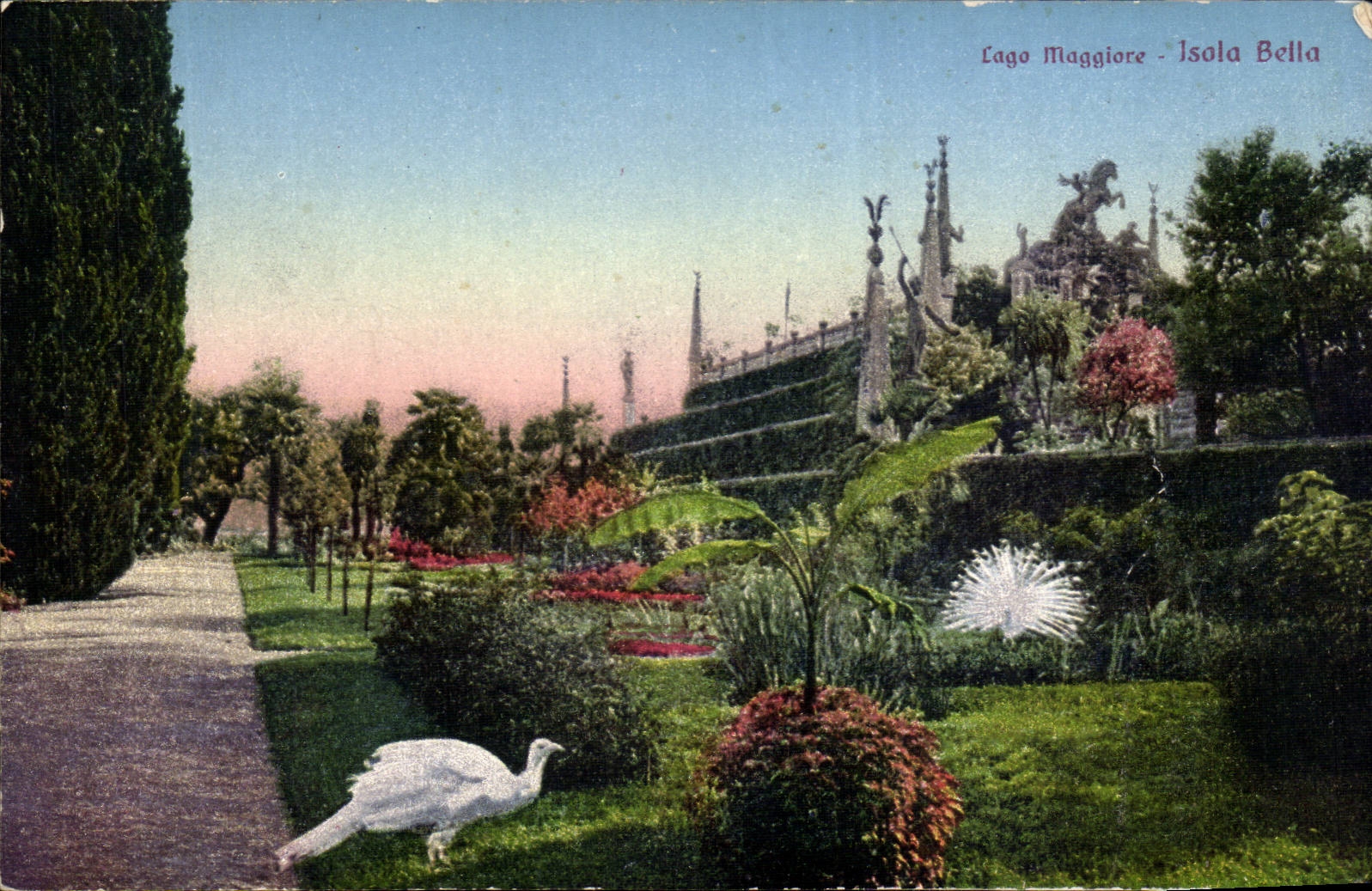 CPA Italie italia Laggo Maggiore Isola Bella