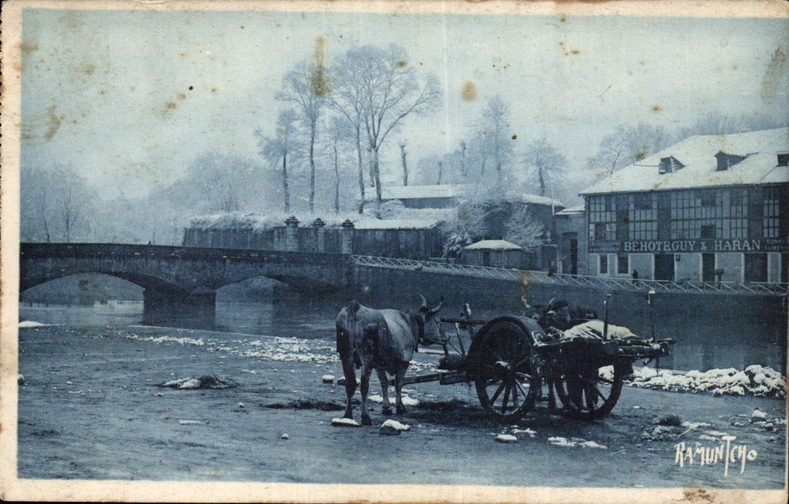 Bayonne CPA Etude au bord de la Nive ( vache Behoteguy Haran ) 