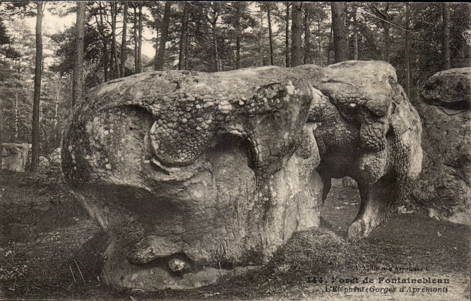 L'Éléphant (Gorges d'Aprémont) — Fontainebleau — Éditions d'Artérieux, n°144