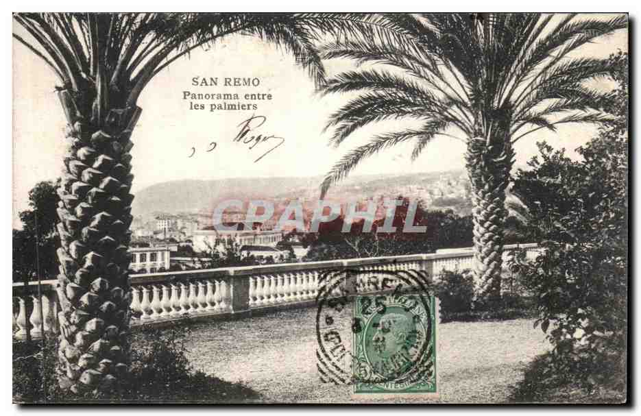 CPA Italie Italia San Remo Panorama entre les palmiers