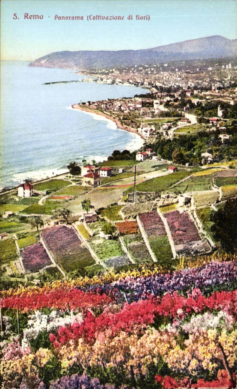 CPA Italie Italia San Remo Panorama 