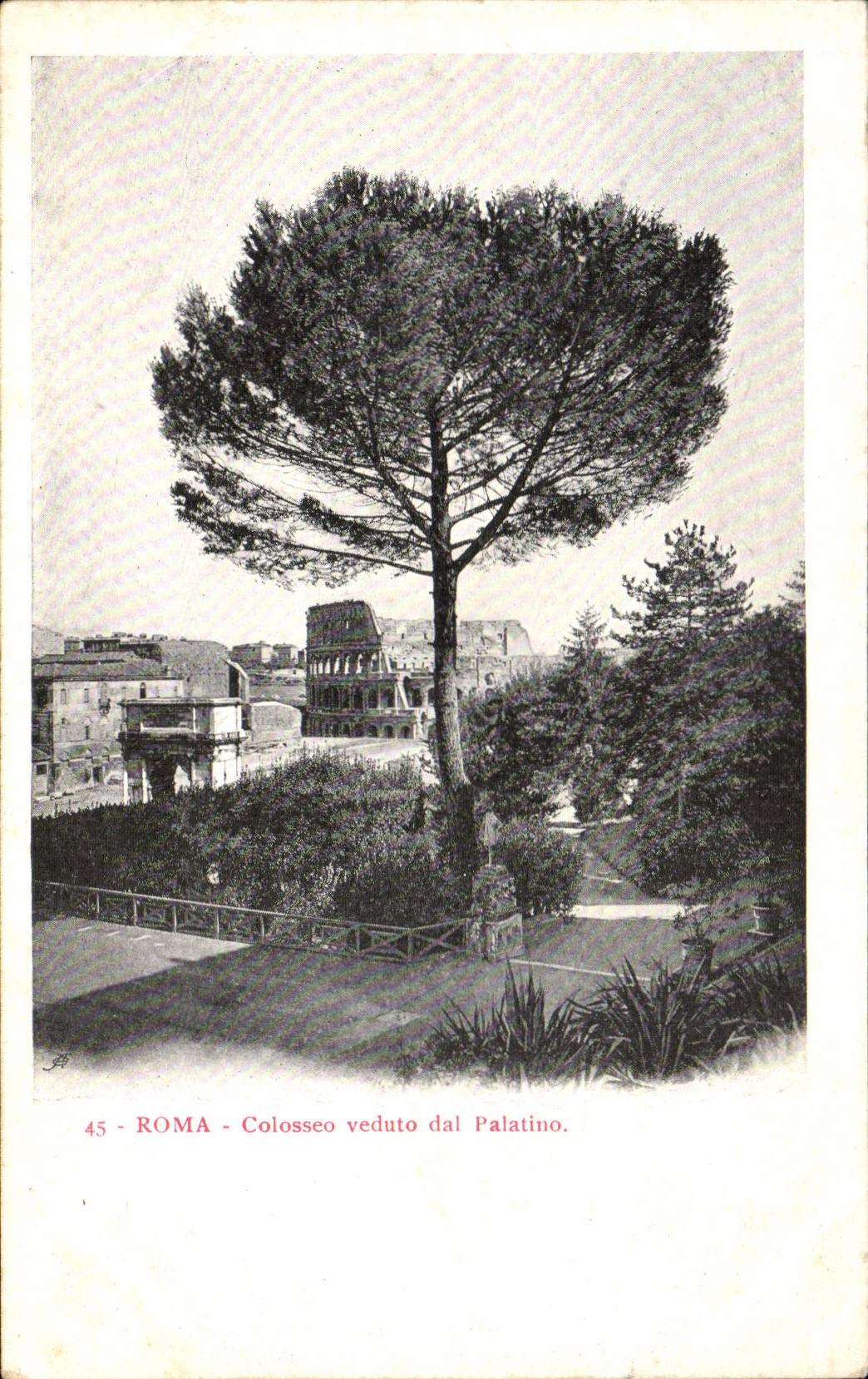 CPA Italie Italia Roma Colosseo veduta dal Palatino