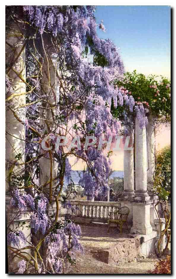 CPA Italie Italia Sanremo Flora della Riviera