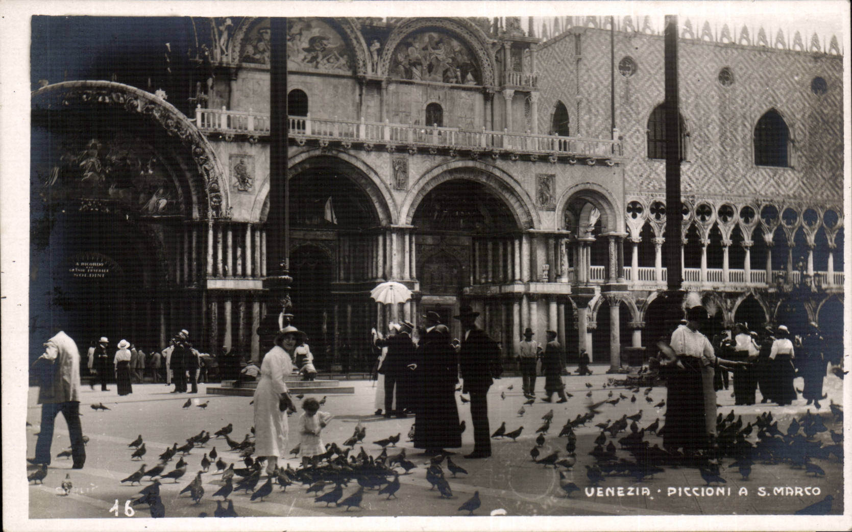 CPA Italie Italia Venezia Piccioni a S Marco