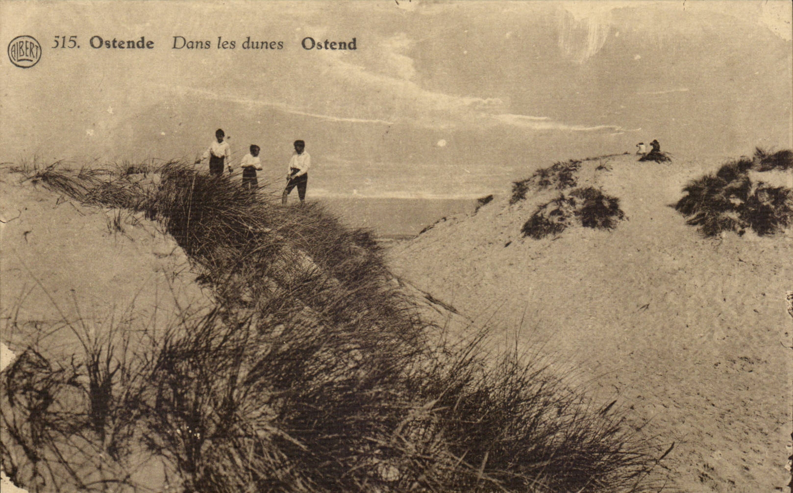 Ostende — Dans les dunes — AIBERT 515