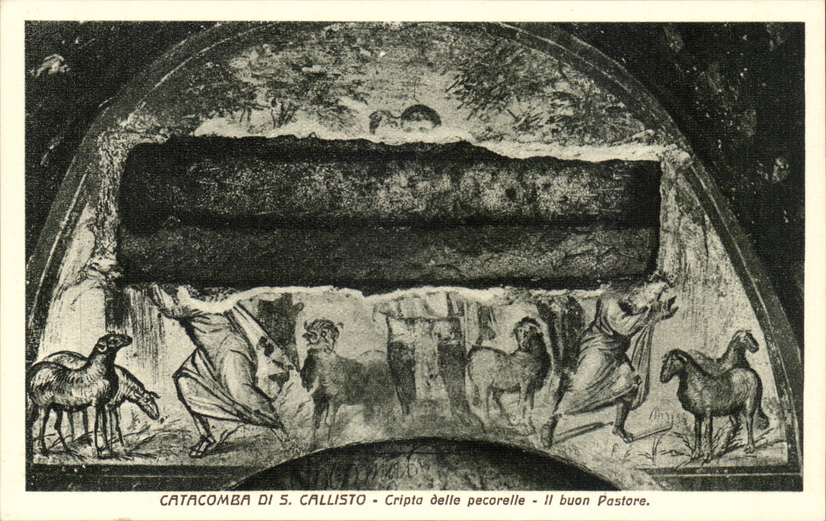 CPA Italie Italia Catacomba di S Callisto Cripta delle percorelle Il buon pastore