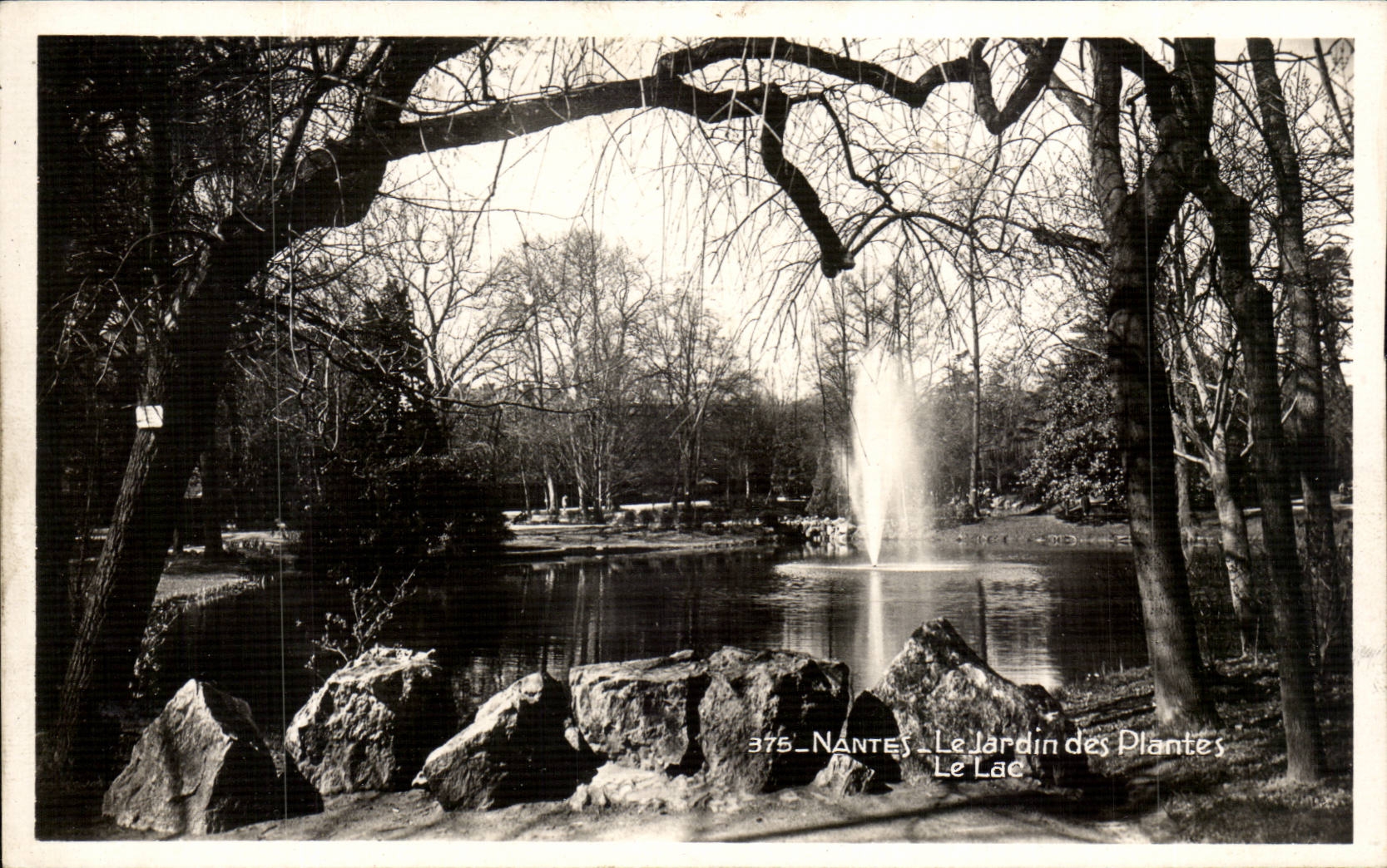 CPSM Nantes Le jardin des plantes Le lac