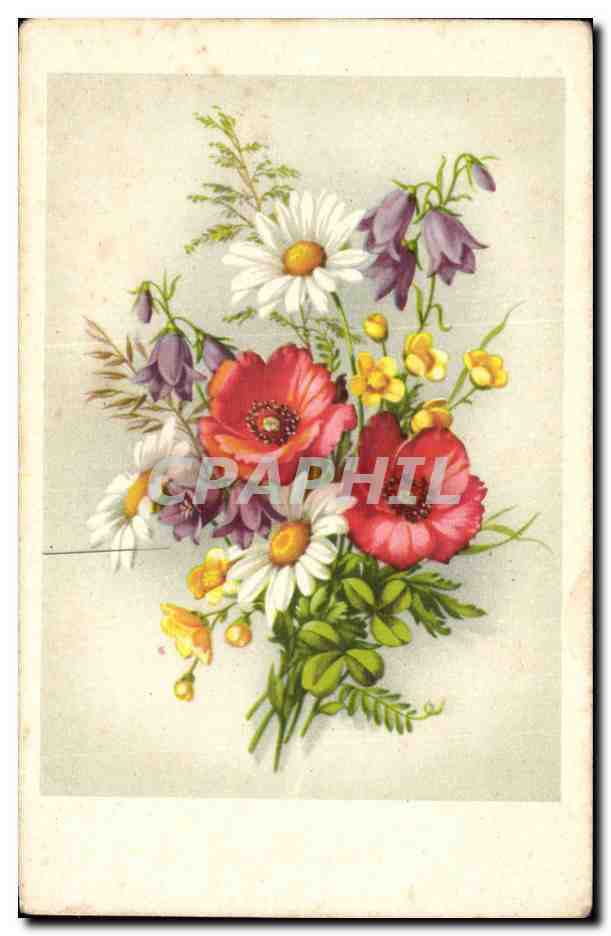 CPA Fantaisie Fleurs