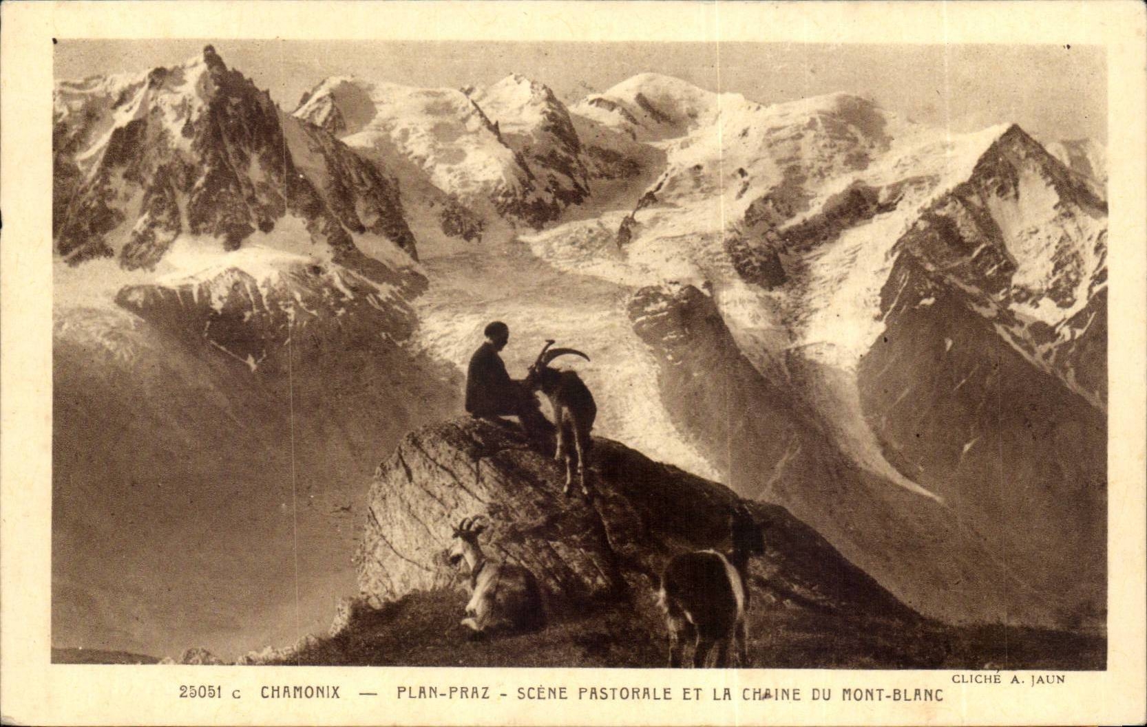 CPA Chamonix Plan Praz Scene pastorale et la chaine du Mont Blanc Chamois Goat Chevre