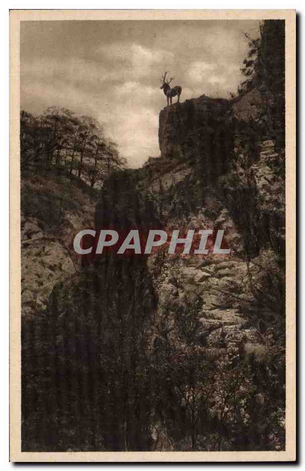 CPA Hirschsprung im Hollental