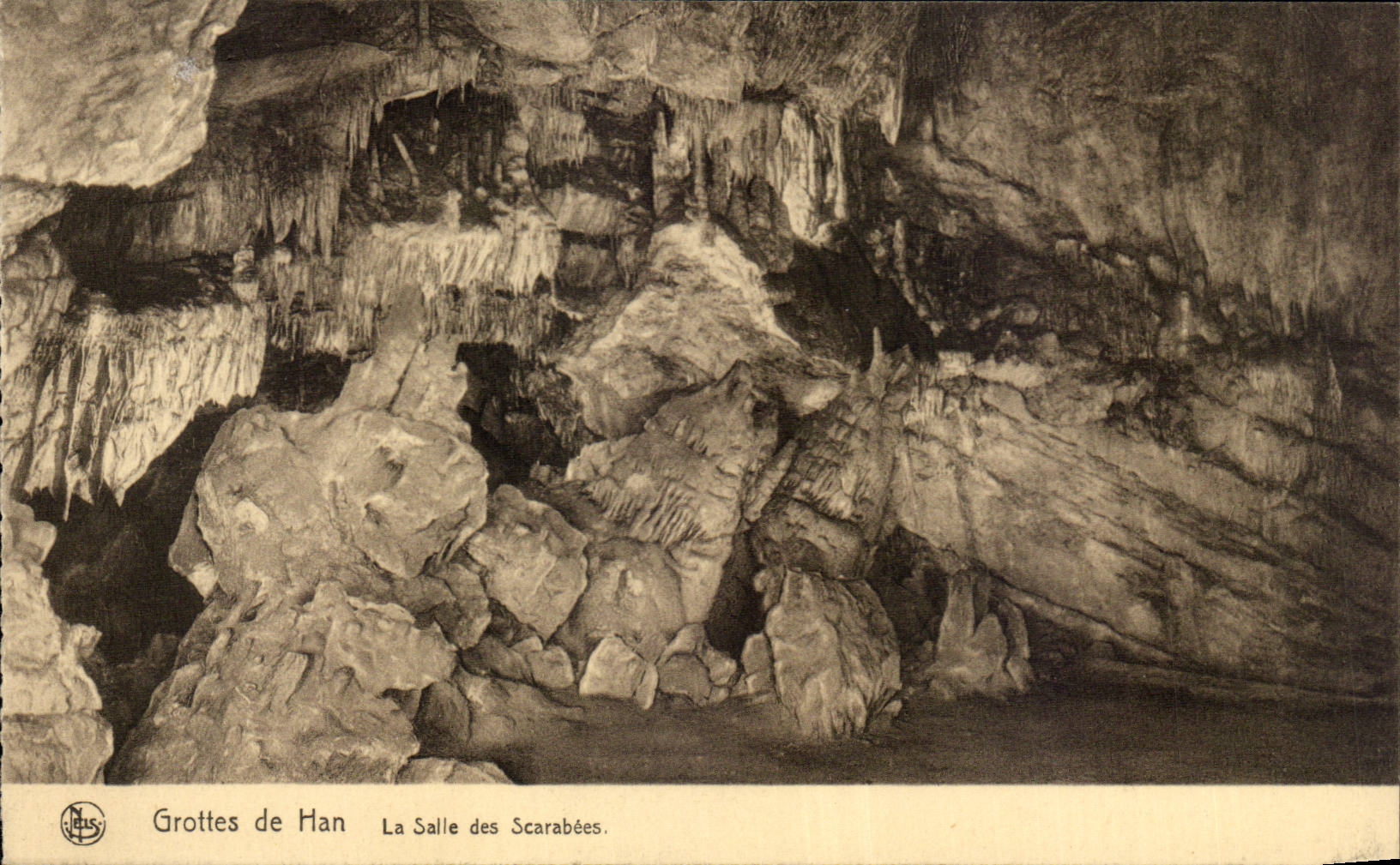 CPA Belgique Grottes de Han La salle des scarabees