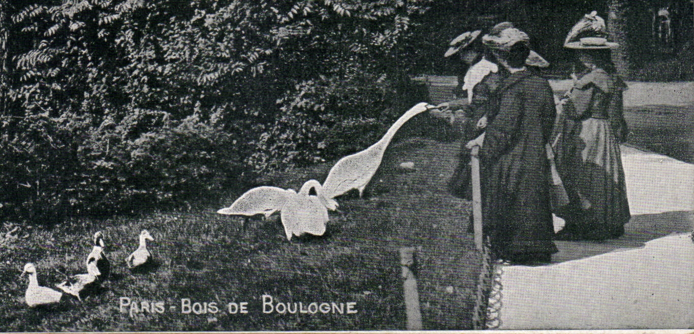 CPA Paris Bois de Boulogne