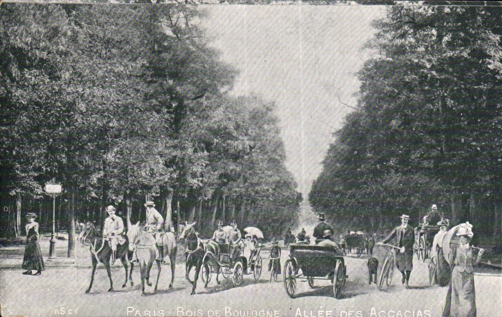 Paris CPA Bois de Boulogne Allee des Acacias