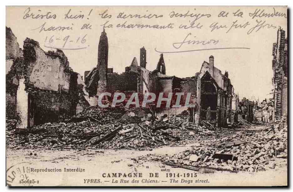 CPA Belgique Ypres La rue des chiens