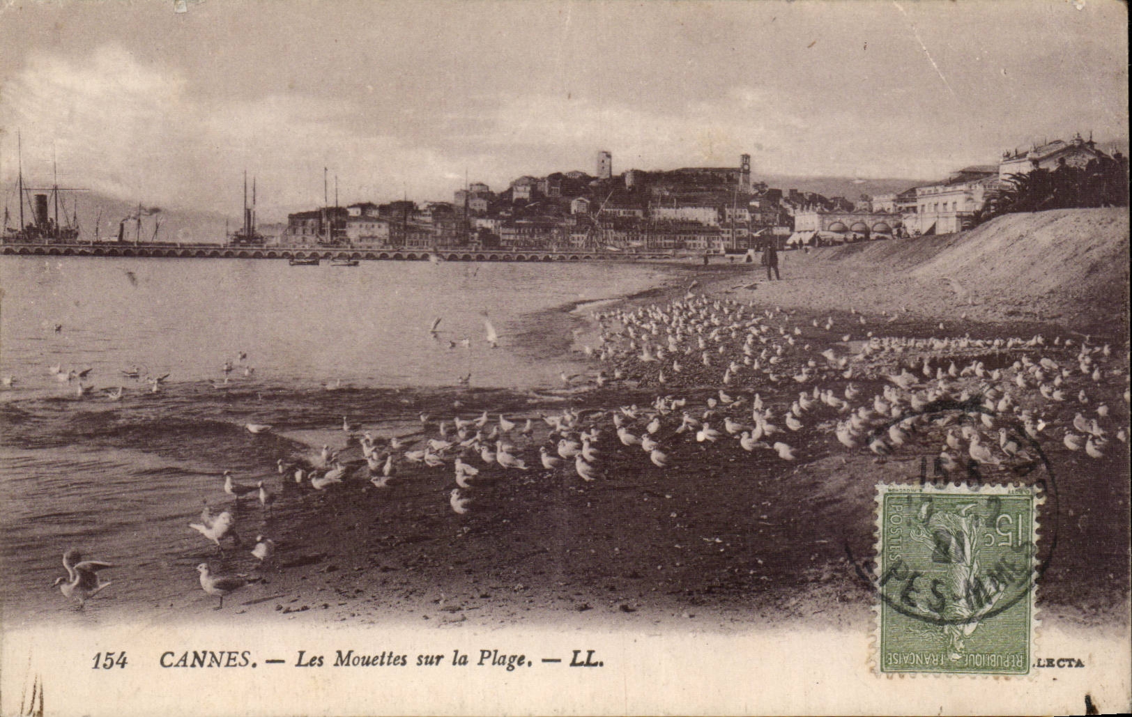CPA Cannes Les mouettes sur la plage