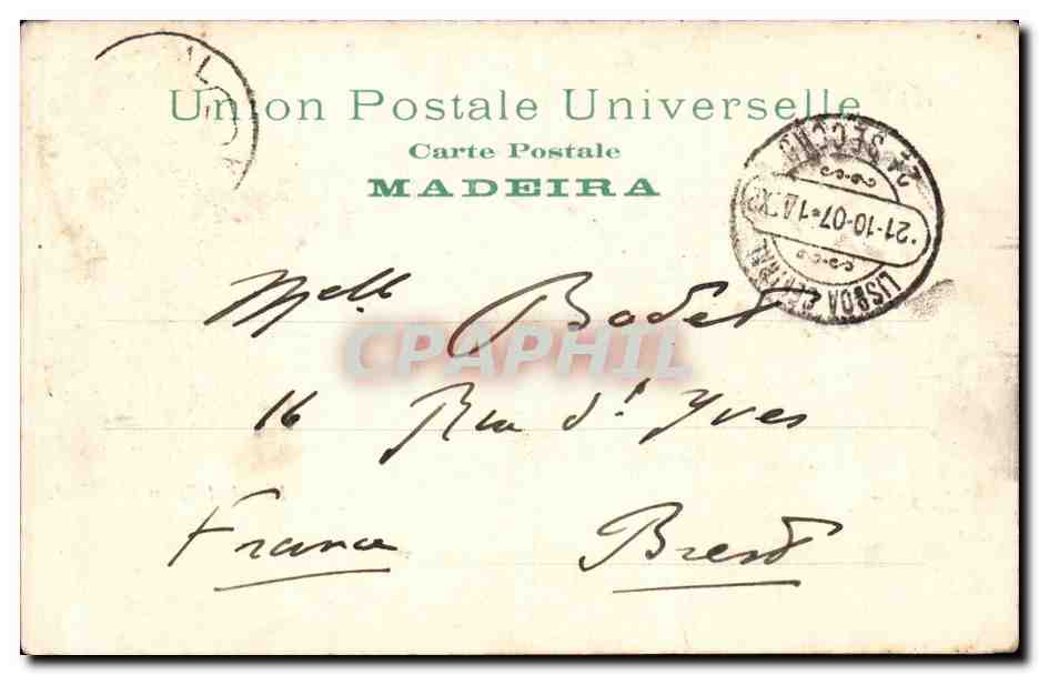 Fronde de la Havaneza — vue d'ensemble — Caba Havaneza — Verso