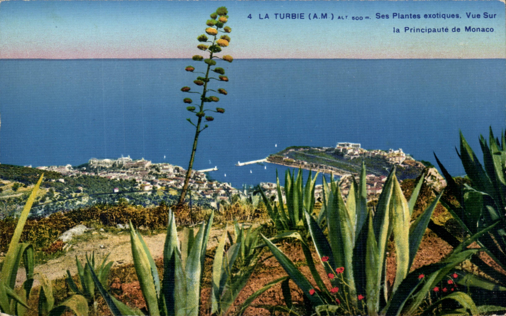 La Turbie (A.M.) — Vista sulla Principessa di Monaco — Le sue Piante Esotiche — Alt. 500 m
