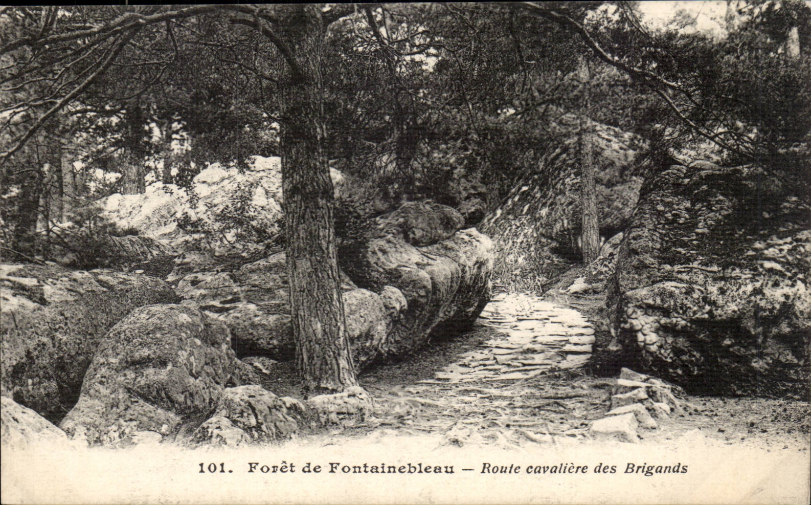 Wald von Fontainebleau — Reiterweg der Räuber — n° 101
