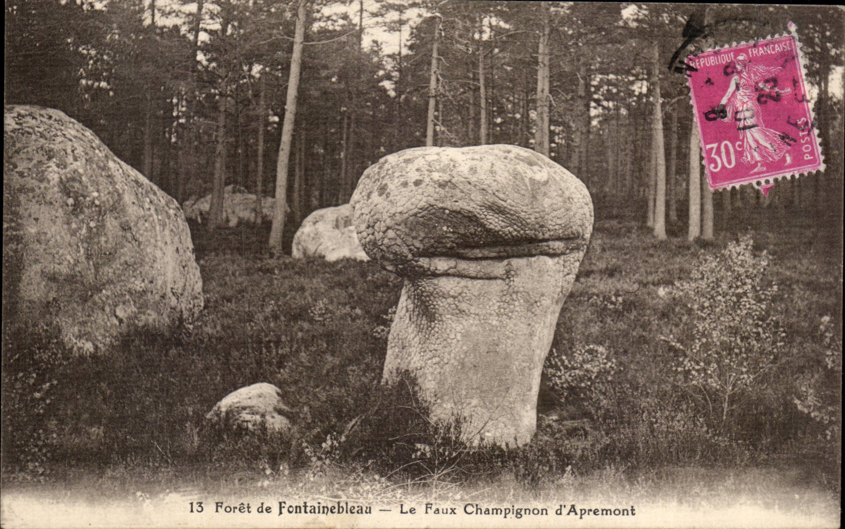 Foresta di Fontainebleau — Il Falso Funghetto di Apremont — Editore non identificato, n° 13
