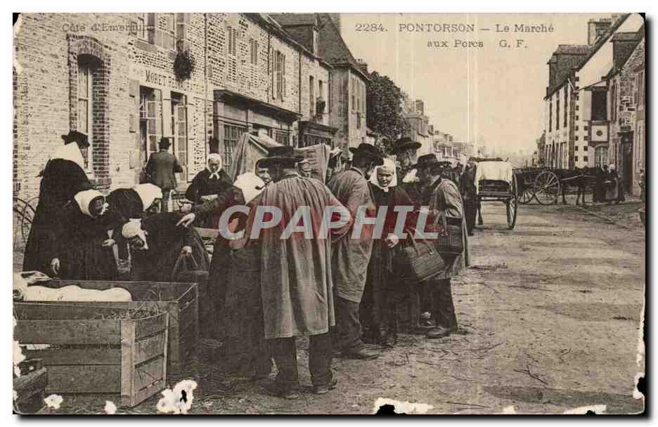 Pontorson CPA Le marche aux porcs Cochons TOP