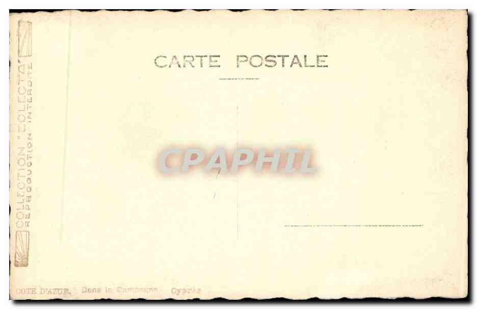 CPA Cote d'azur Dans la campagne Cypres — Rückseite