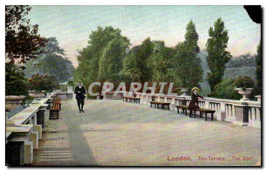 CPA Great Britain London The terrace The zoo